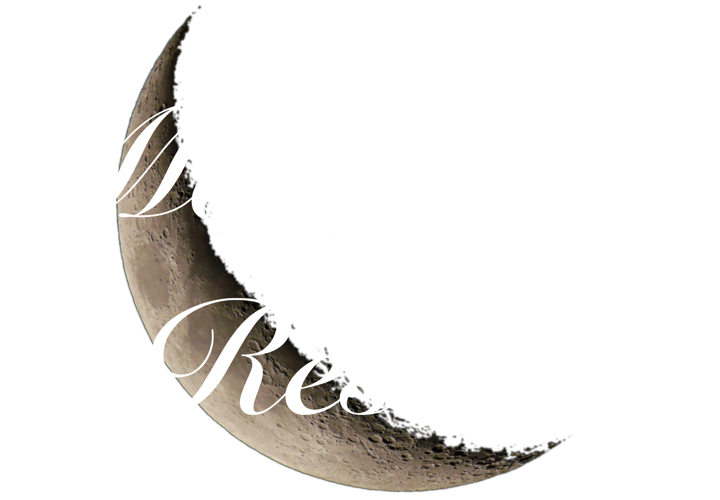 Logo of Moonlight Resort